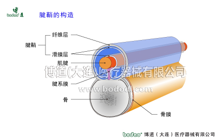 手關(guān)節(jié)常見(jiàn)傷病與健康防護(hù)