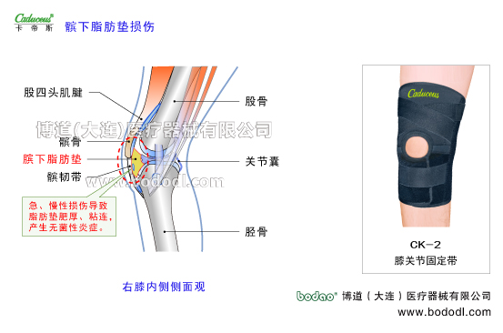 膝關(guān)節(jié)的運動損傷與防護(hù)