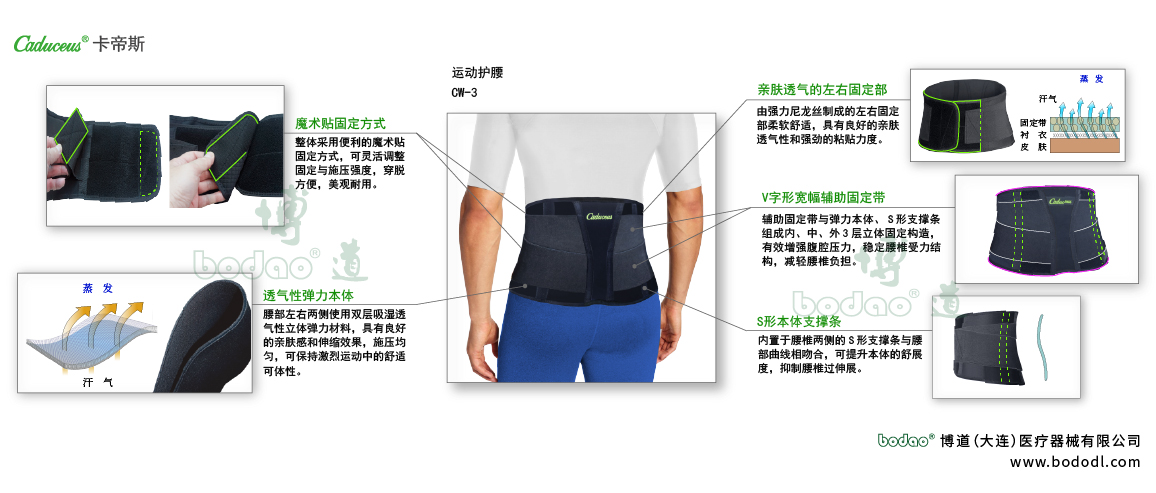 腰椎固定帶的產(chǎn)品詳情