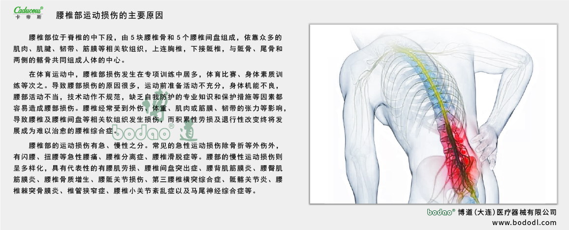 腰椎部的運動損傷