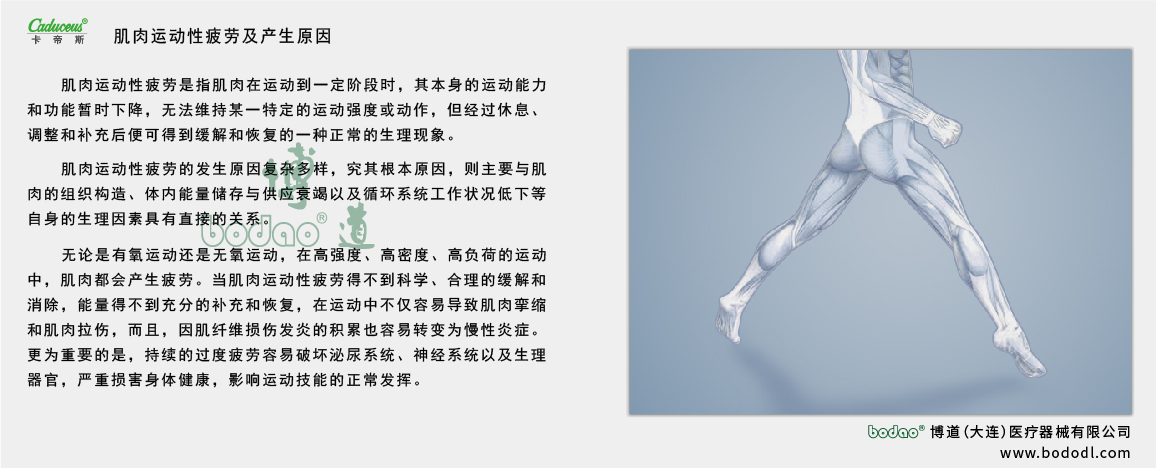 肌肉運(yùn)動性疲勞