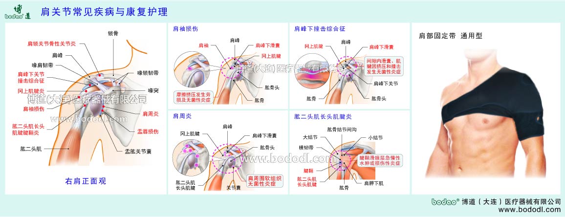 COMMON DISEASES OF SHOULDER JOINT 