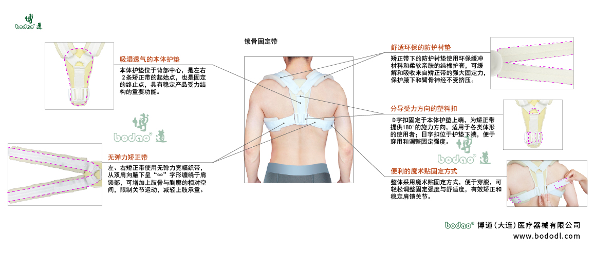 肩鎖固定帶的產(chǎn)品詳情